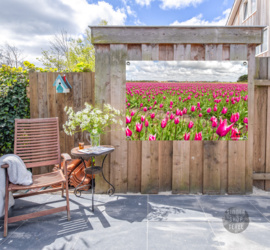 Tulpen op Texel, ringen in de hoeken.