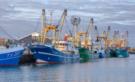 Haven Oudeschild - Muurcirkel