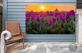 Tulpen op Texel, ringen in de hoeken.