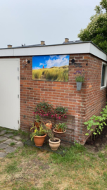 Tuinposter, duingebeid en vuurtoren.