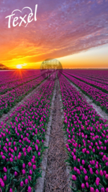 Texel strandlaken Tulpen. (Met Texel logo)