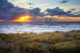 Strand - Tuinposter ringen in de hoeken.