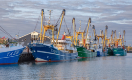 Kotters - Ringen in de hoeken