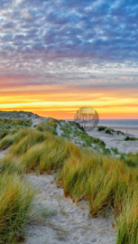 Texel strandlaken strand. (Zonder Texel logo)