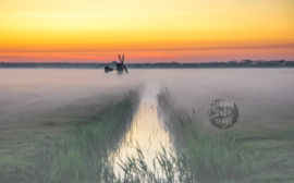 Molen WaalenBurg in de mist, ringen in de hoeken.