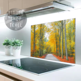 Herfstbos - Spatscherm Keuken