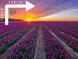 Tulpen op Texel. Fleece Deken.