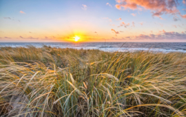 Duinen van Texel, ringen in de hoeken.