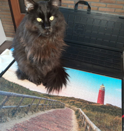 Kat kan ook puzzelen