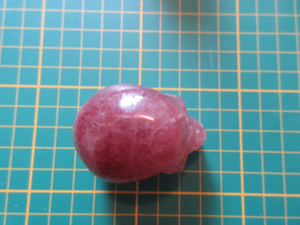 Schedel Aardbeienkwarts (#154)