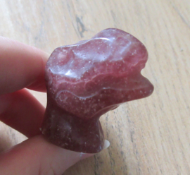 Dinosaurus hoofd Aardbeienkwarts (#137)