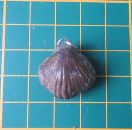 Versteende schelp hanger (K16)