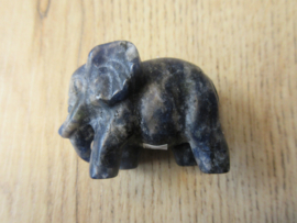 Olifant Sodaliet (#77)