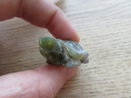 Schildpad  Mosagaat/Boomagaat (#228)