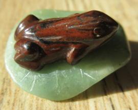 Tijgeroog kikker op blad hanger (K55)