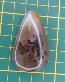 Palmsteen Agaat met Dendriet (#319)