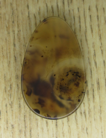 Palmsteen Agaat met Dendriet (#323)