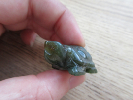 Schildpad  Mosagaat/Boomagaat (#224)