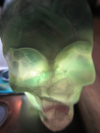 Schedel Fluoriet (#145)