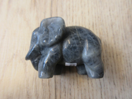 Olifant Labradoriet (#82)