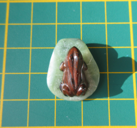 Tijgeroog kikker op blad hanger (K55)