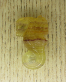 Zeepaardje Fluoriet (#336)