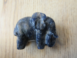 Olifant Sodaliet (#77)