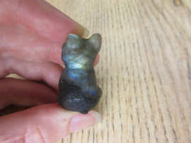 French Bulldog Labradoriet (#333)