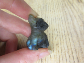 French Bulldog Labradoriet (#333)