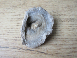 Chalcedoon roos (#611)