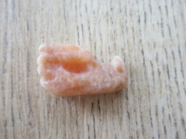 Drakenschedel Oranje Calciet (#208)