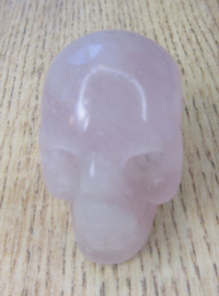 Schedel Rozenkwarts (#311)