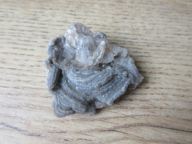Chalcedoon roos (#613)