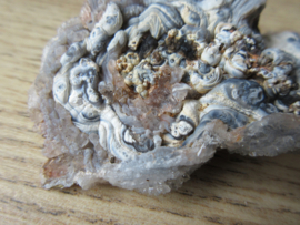 Chalcedoon roos (#612)