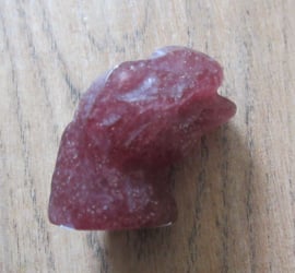 Dinosaurus hoofd Aardbeienkwarts (#137)