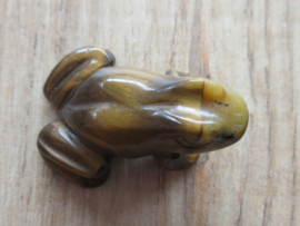 Kikker Tijgeroog (#13)