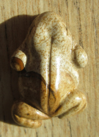 Hout jaspis kikker hanger (K52)