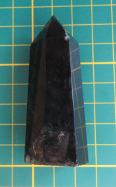 Rookkwarts toren (49)