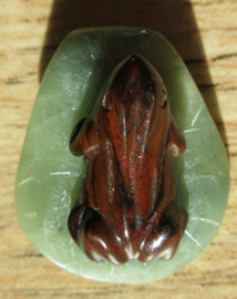 Tijgeroog kikker op blad hanger (K55)