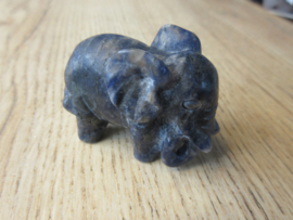 Olifant Sodaliet (#77)