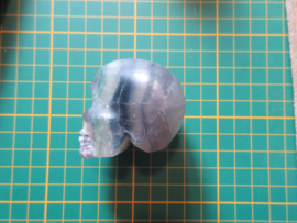 Schedel Fluoriet (#145)