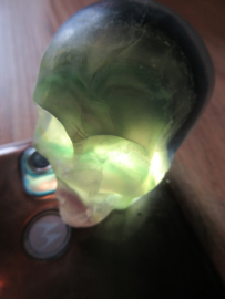 Schedel Fluoriet (#145)