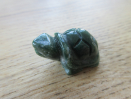 Schildpad  Mosagaat/Boomagaat (#220)