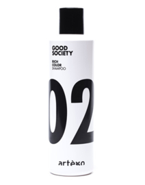 02 Color Shampoo 250ml