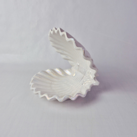 Schelp Schaaltje Porselein | Pereiras Portugal