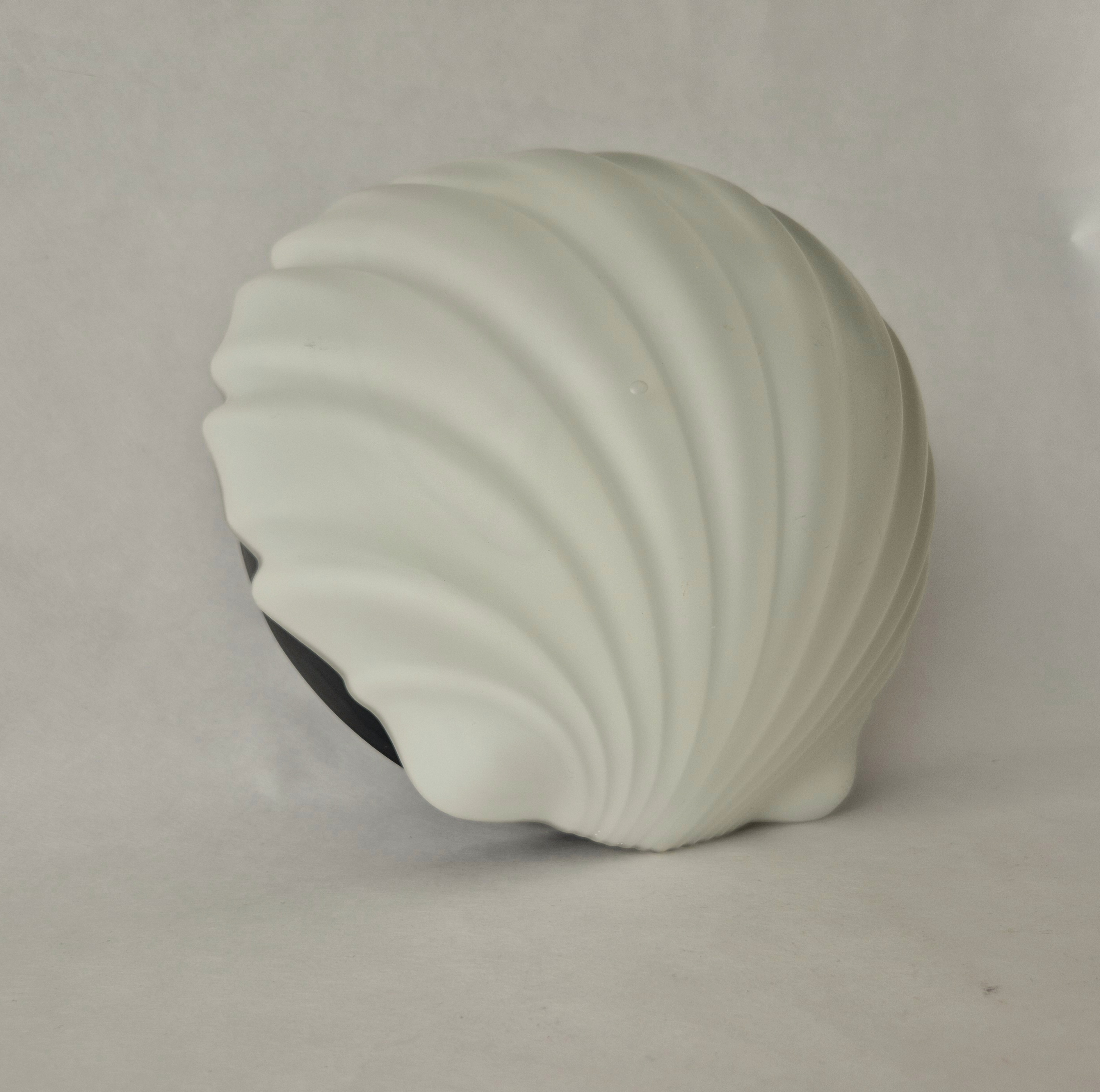 Wandlamp of plafondlamp Glashutte Limburg | Lamp in de vorm van een schelp