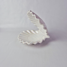 Schelp Schaaltje Porselein | Pereiras Portugal