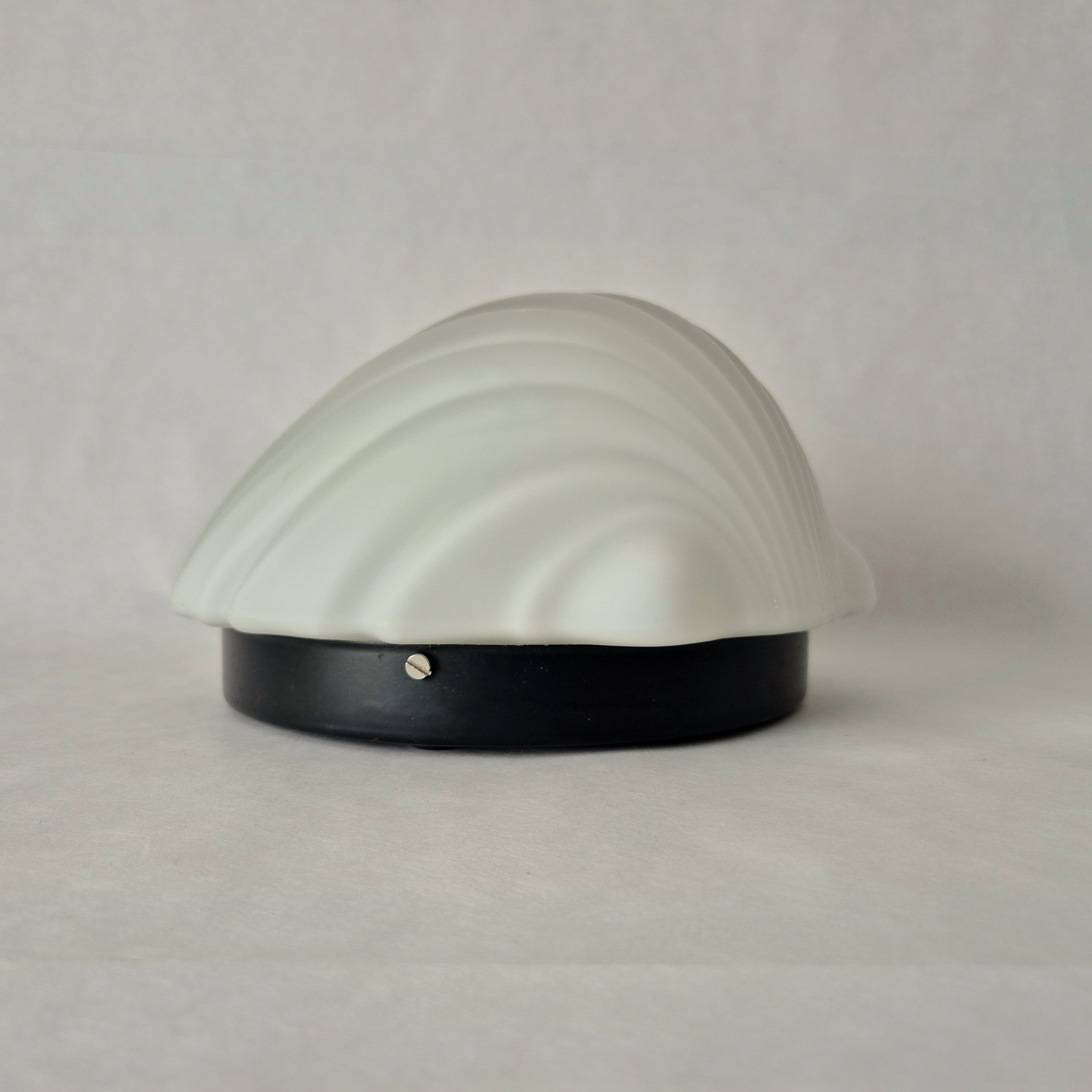 Wandlamp of plafondlamp Glashutte Limburg | Lamp in de vorm van een schelp
