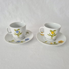 Bohemia kop en schotel | Set van 2 | Bohemia Czechoslovakia