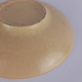 Vintage jaren 60 bordje met plant decor